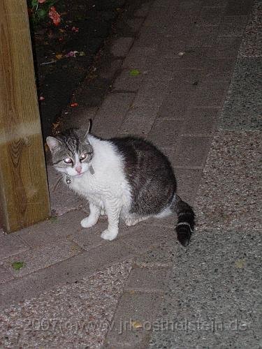 DSCN0489.JPG