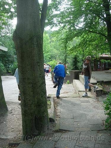 DSCN0754.JPG