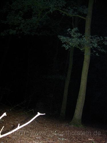 DSCN1291.JPG