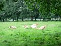 DSCN1128