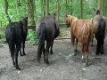 DSCN1139