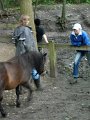 DSCN1181