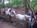 DSCN1193