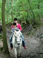 DSCN1202