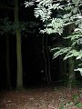DSCN1283