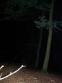 DSCN1291