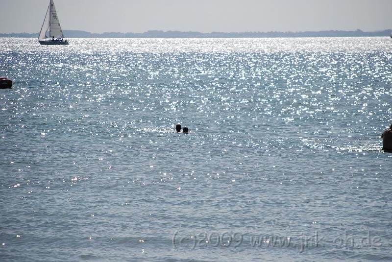 DSC_7772.JPG - (C)M.SCHALK 2009