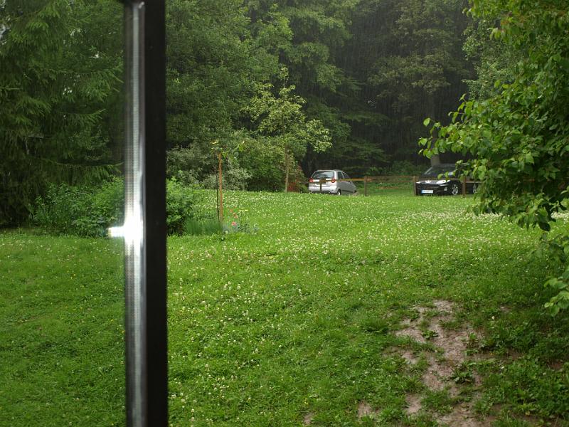 P7193594.JPG
