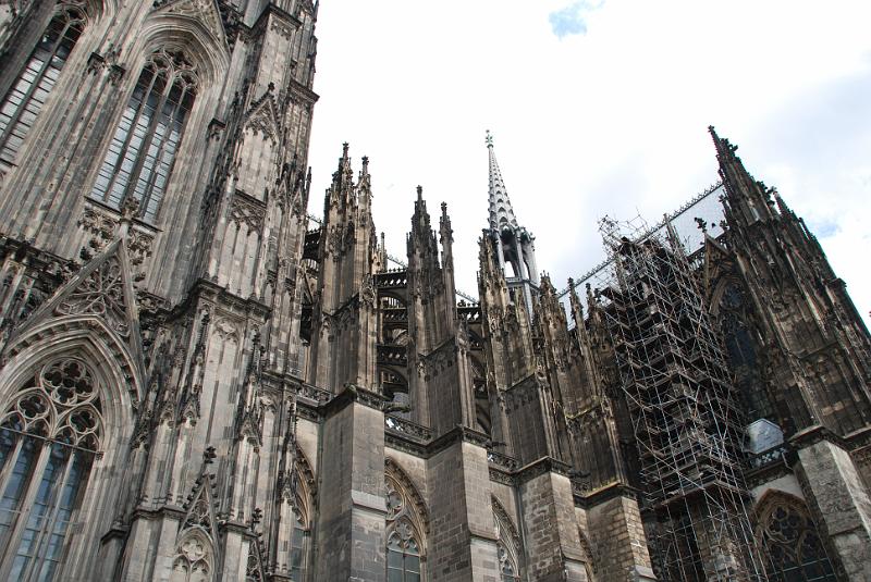 DSC_6442.JPG