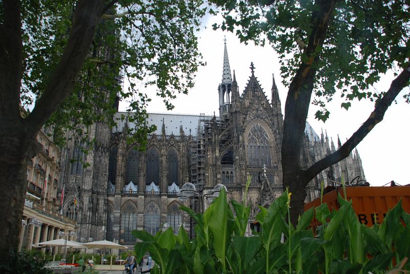 DSC_6510.JPG