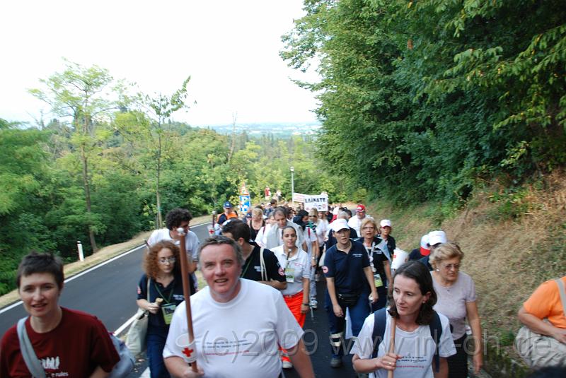 DSC_5701.JPG - (C)M.SCHALK 2009
