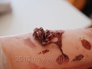 k-DSC_0485.JPG