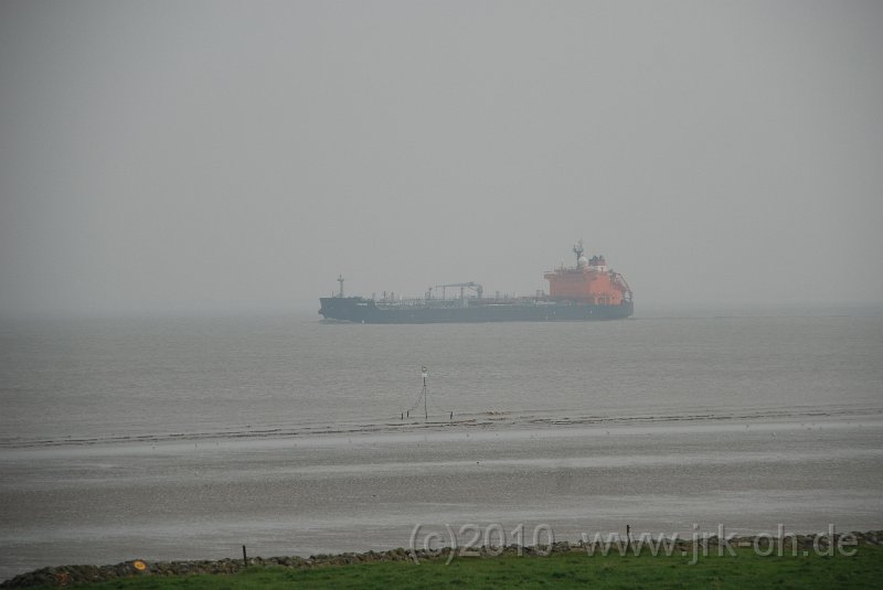 DSC_3777.JPG - (C)M.SCHALK 2010