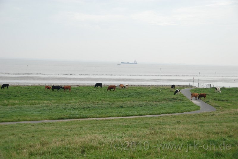 DSC_4013.JPG - (C)M.SCHALK 2010