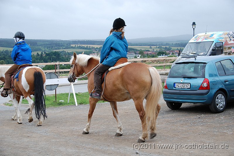 DSC_1881.JPG - (c)2010 M.Schalk