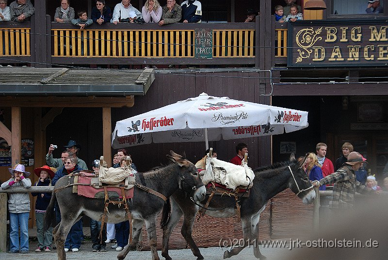 DSC_1965.JPG - (c)2010 M.Schalk