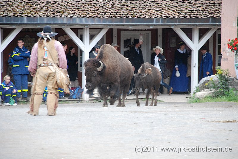 DSC_1970.JPG - (c)2010 M.Schalk