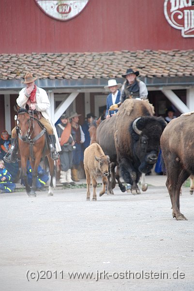 DSC_1972.JPG - (c)2010 M.Schalk