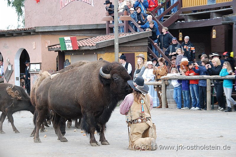 DSC_1973.JPG - (c)2010 M.Schalk