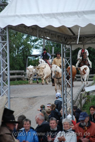 DSC_2054.JPG - (c)2010 M.Schalk