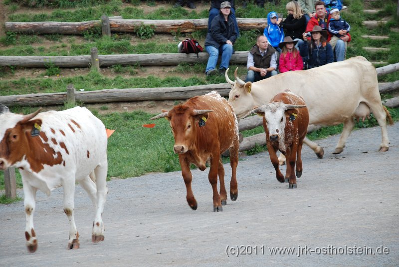 DSC_2057.JPG - (c)2010 M.Schalk