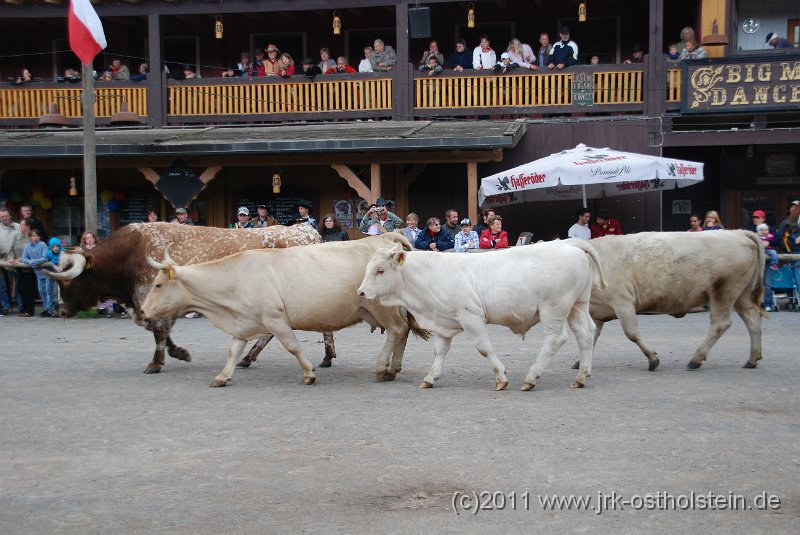 DSC_2059.JPG - (c)2010 M.Schalk