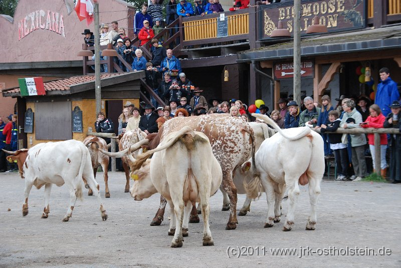 DSC_2061.JPG - (c)2010 M.Schalk