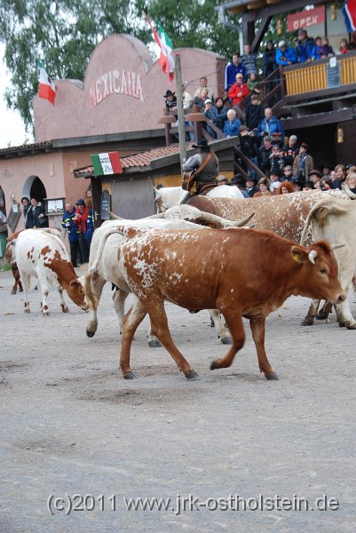 DSC_2062.JPG - (c)2010 M.Schalk