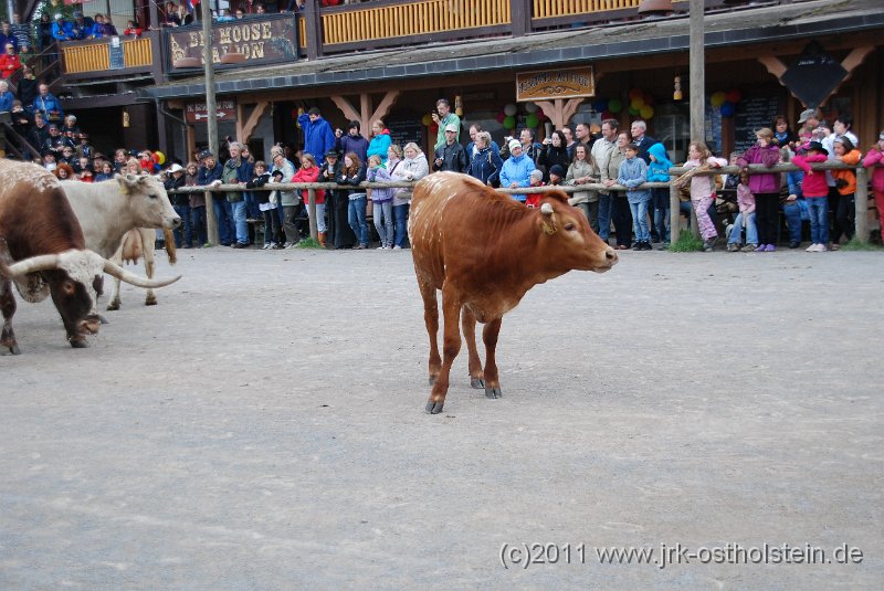 DSC_2063.JPG - (c)2010 M.Schalk