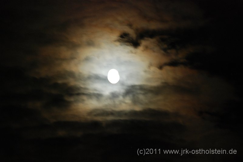 DSC_2185.JPG - (c)2010 M.Schalk