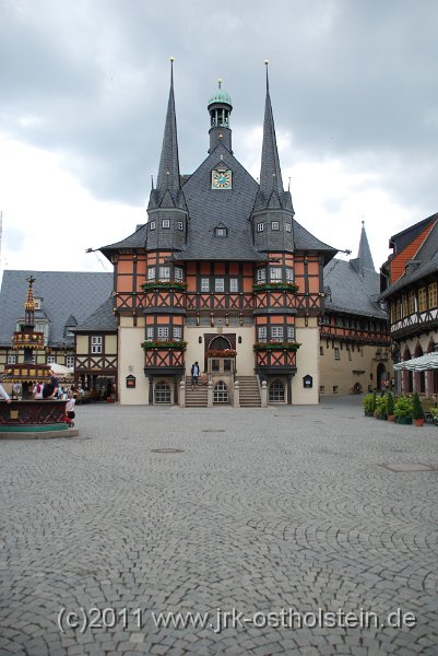 DSC_1520.JPG - (c)2010 M.Schalk