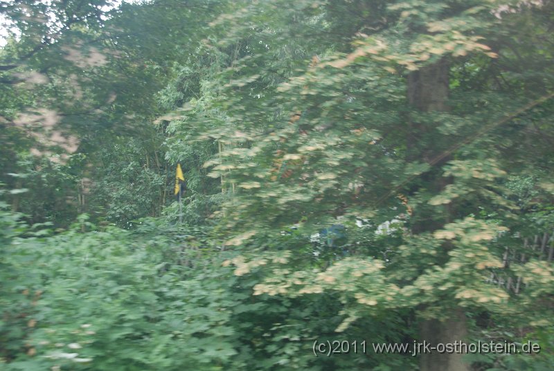 DSC_1560.JPG - (c)2010 M.Schalk