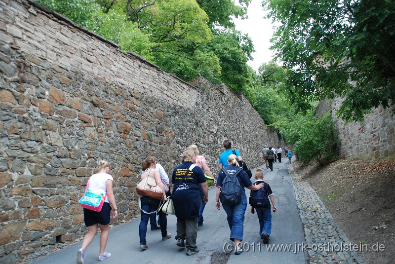 DSC_1563.JPG - (c)2010 M.Schalk