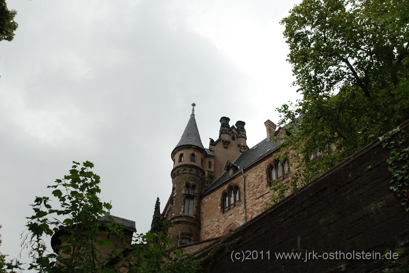 DSC_1564.JPG - (c)2010 M.Schalk