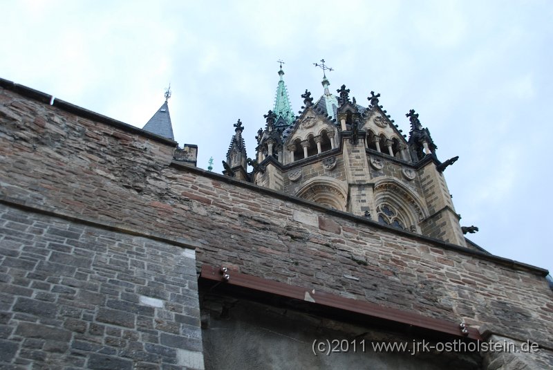 DSC_1568.JPG - (c)2010 M.Schalk