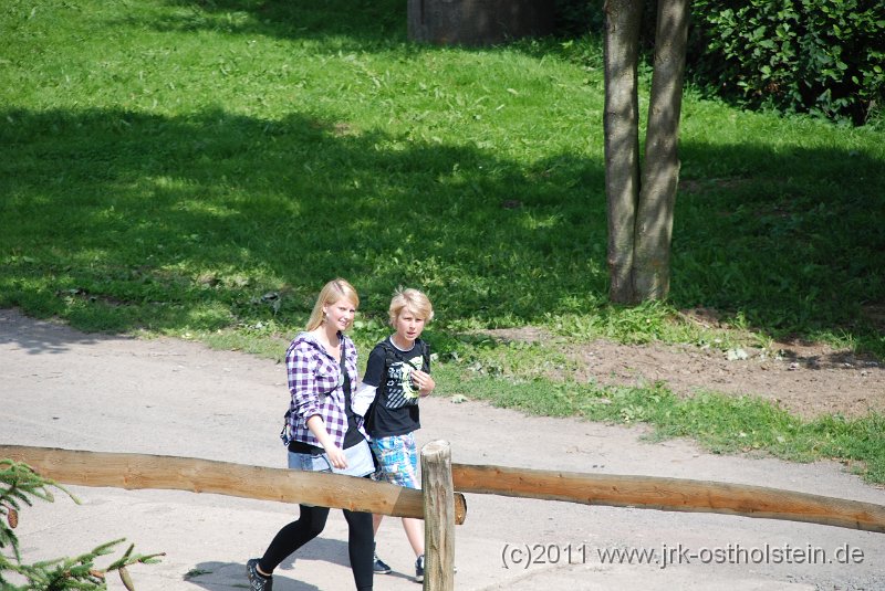 DSC_2277.JPG - (c)2010 M.Schalk