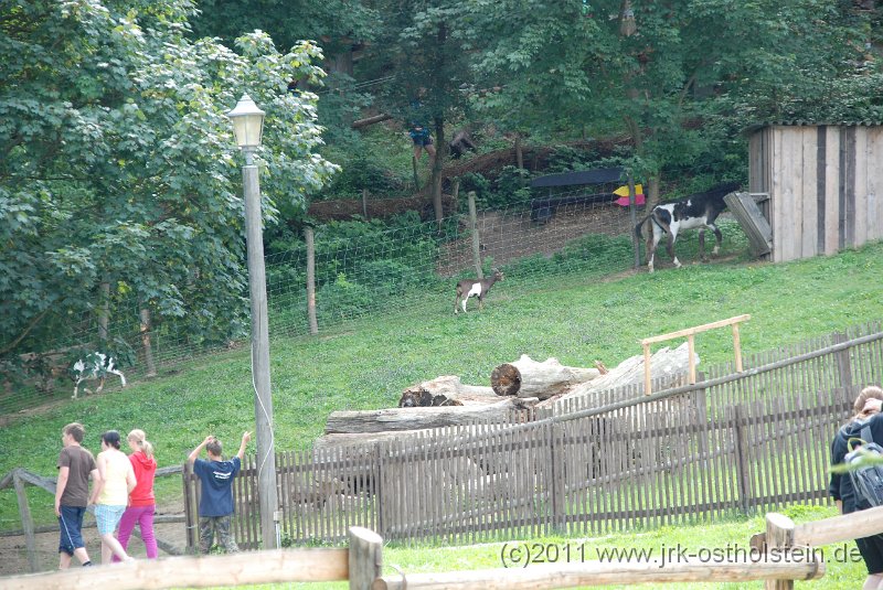 DSC_2304.JPG - (c)2010 M.Schalk