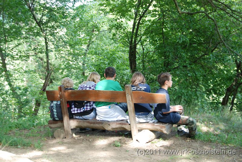 DSC_2306.JPG - (c)2010 M.Schalk