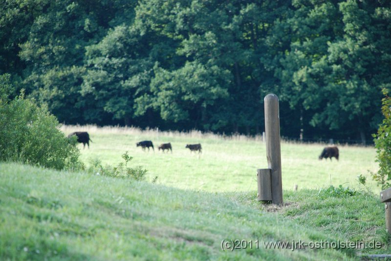 DSC_2340.JPG - (c)2010 M.Schalk