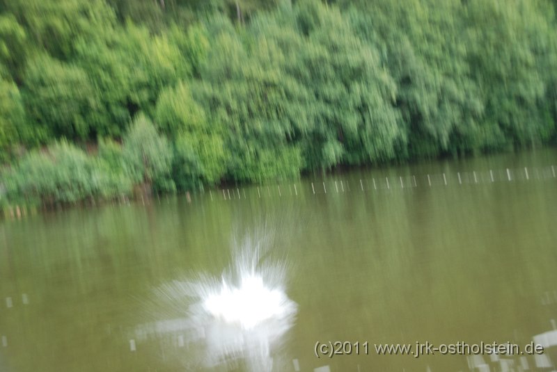 DSC_2398.JPG - (c)2010 M.Schalk