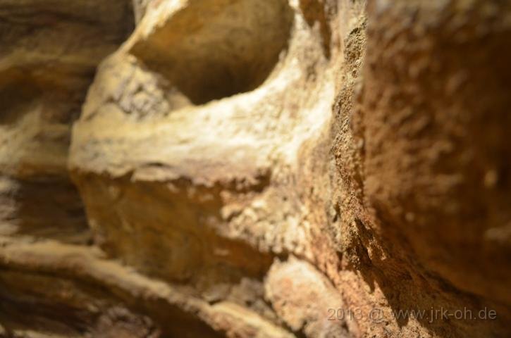 DSC_0886.JPG