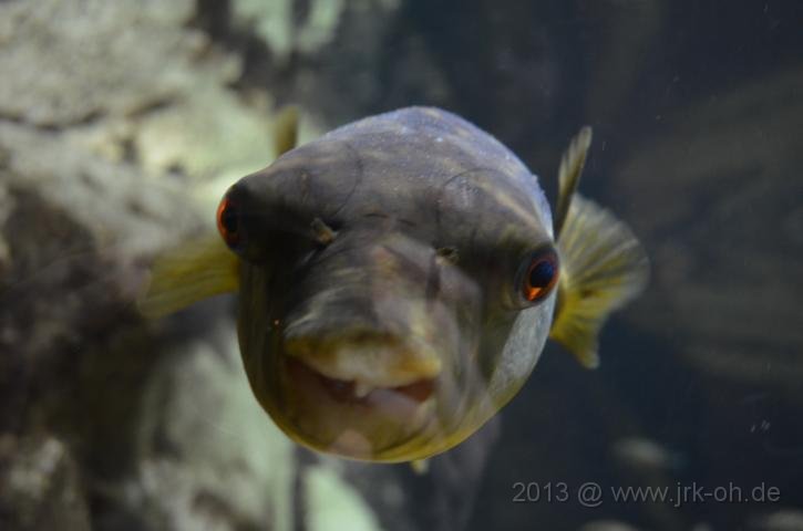 DSC_0901.JPG