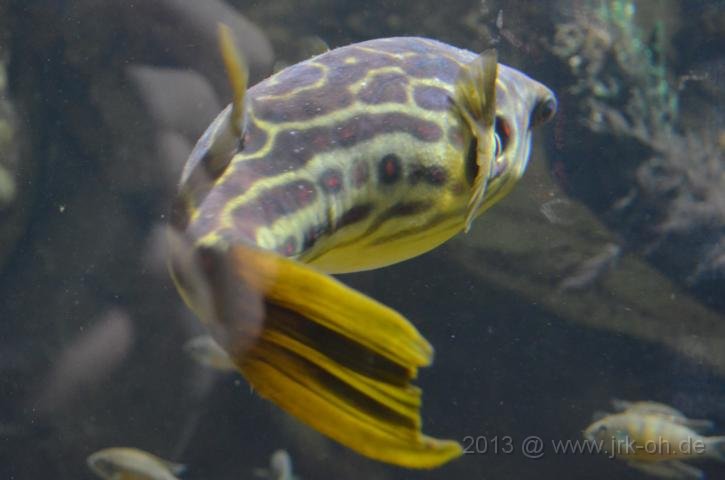 DSC_0905.JPG