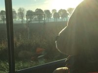 IMG-20160924-WA0000