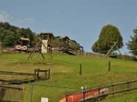 DSC 8461