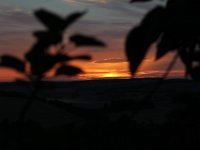 IMG 6485